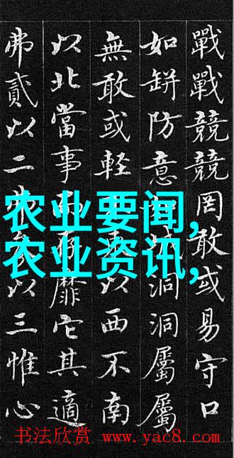 养牛精良饲料配方高效营养健康畜牧