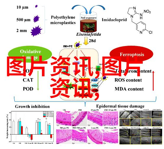 花卉种子生产和管理技术 - 精准播种提升花卉种子质量与产量的高效方法