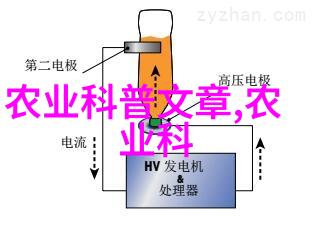 牛蛙养殖技术我来教你如何让你的小牛蛙变身成金钱树