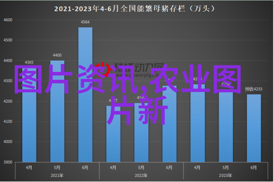 牛蛙养殖技术-高效利用水资源的现代农业新选择