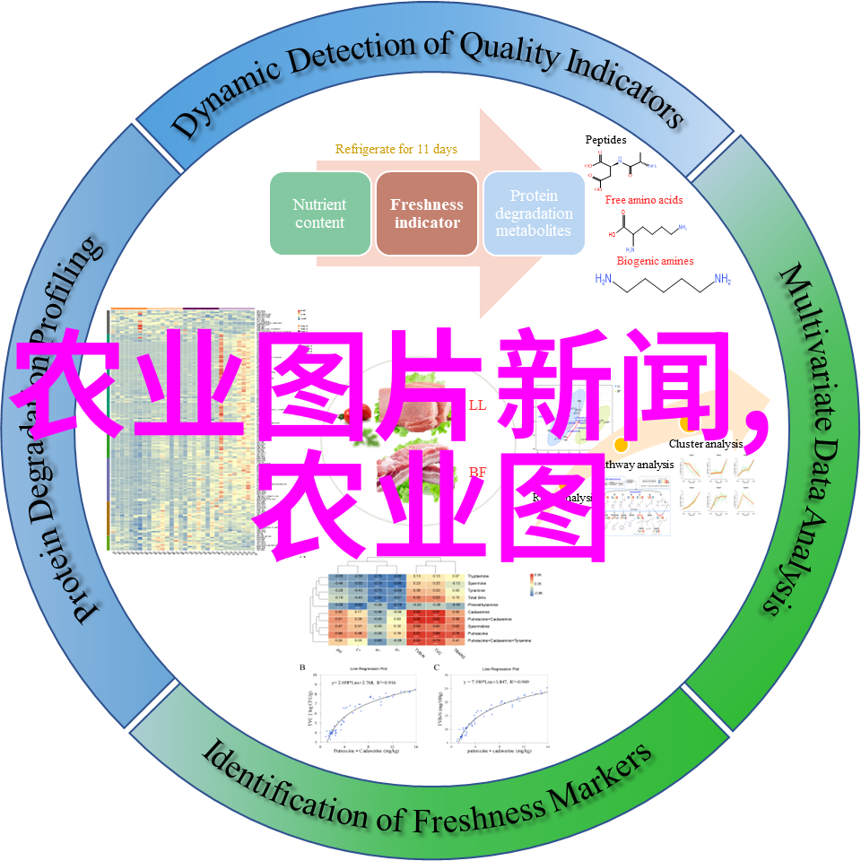 药材合作种植计划寻找合适的药厂伙伴进行高效药材种植