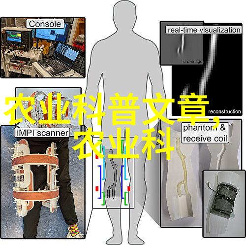 牧场上的智者波尔山羊养殖技巧解析