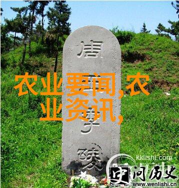 数字媒体艺术的奥秘跨入创意之门不再遥不可及