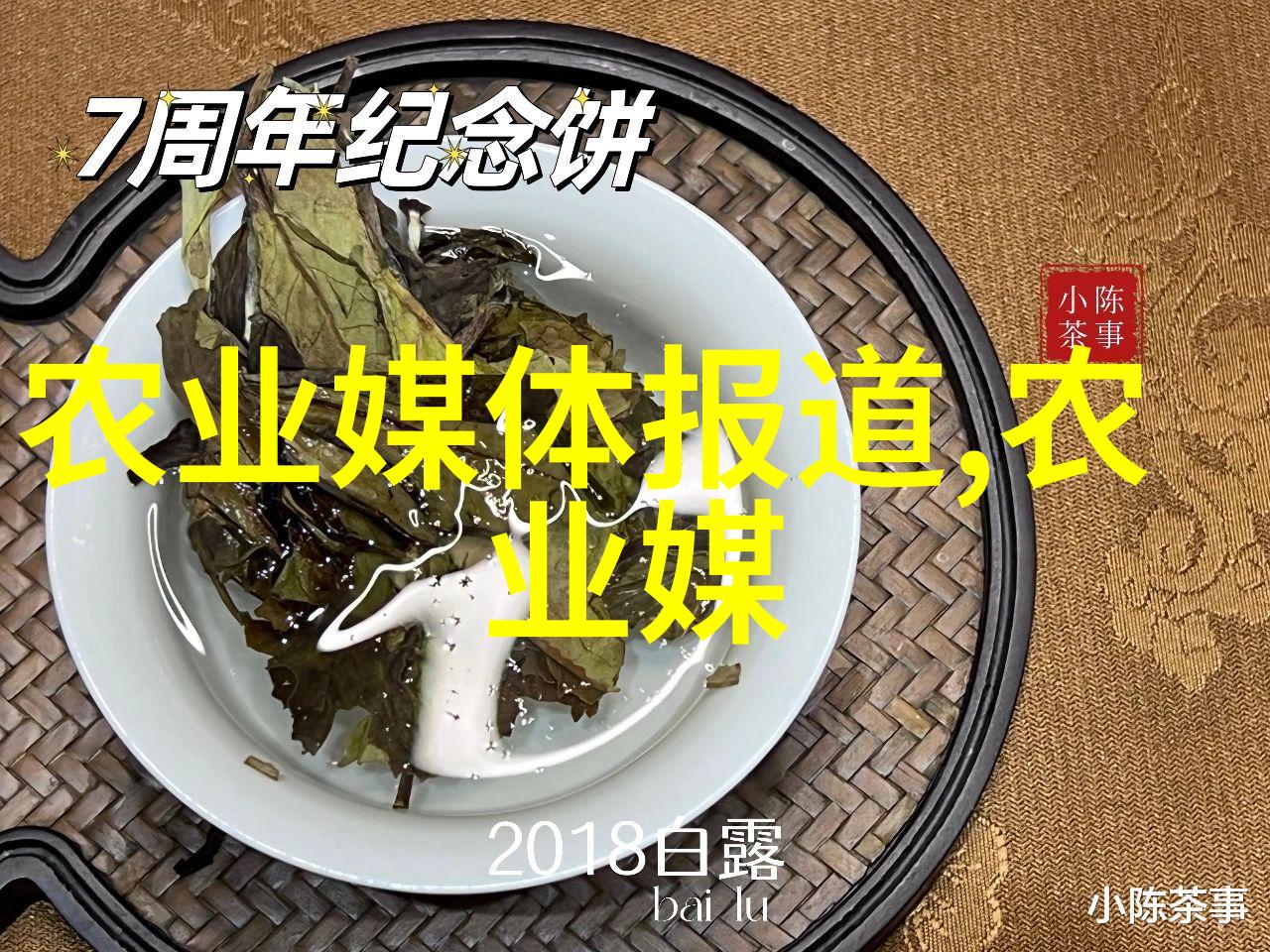 中药材种植热门品种人参黄芪当归白术