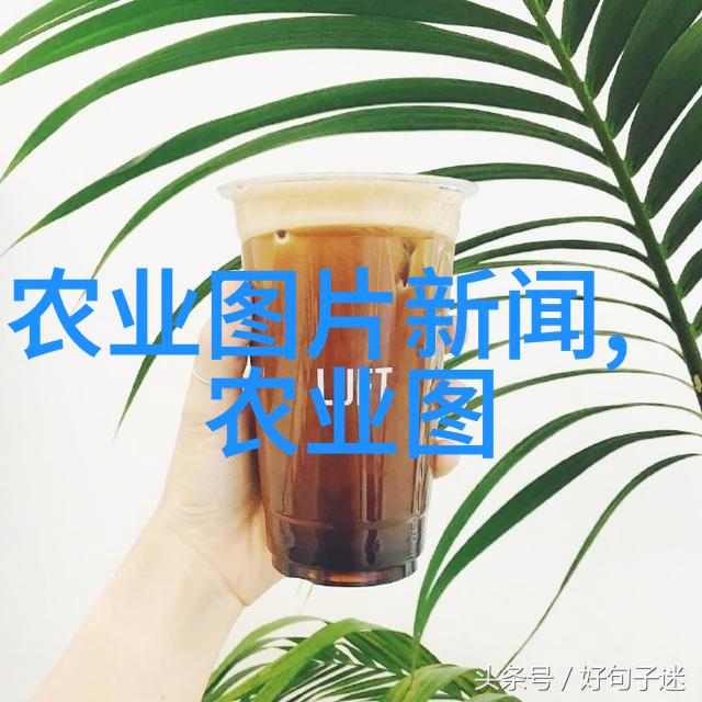 茶的秘密花园从茶杯到茶艺点缀你的生活