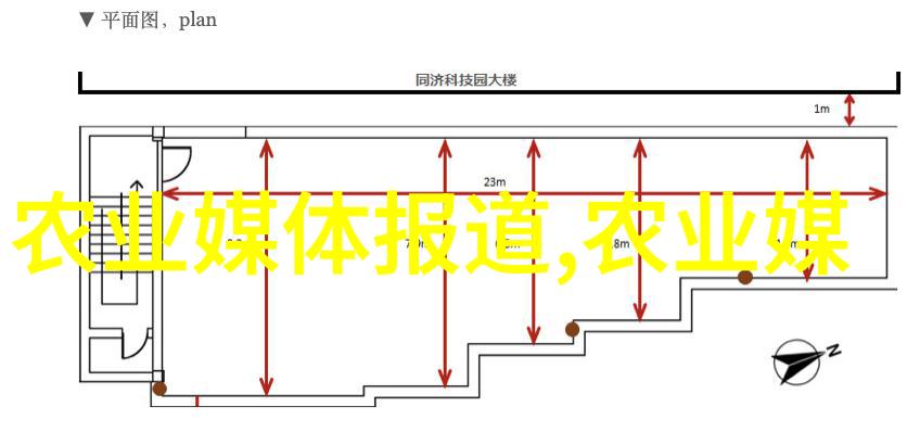 地洞养蜂技术-深邃的地窖探索地下世界中的蜂蜜奇迹