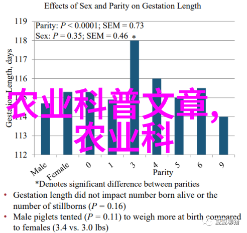 泥鳅养殖技术是骗局-揭秘黑箱操作如何识破假冒的泥鳅养殖技巧