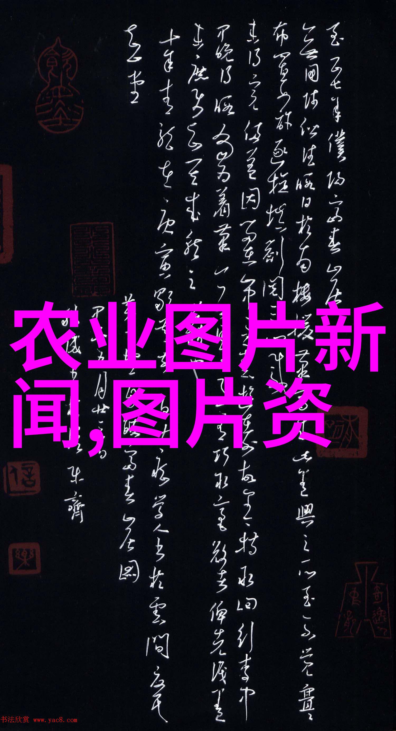 深度挖掘蚯蚓养殖技术从土壤调理到高效繁育的全方位指南