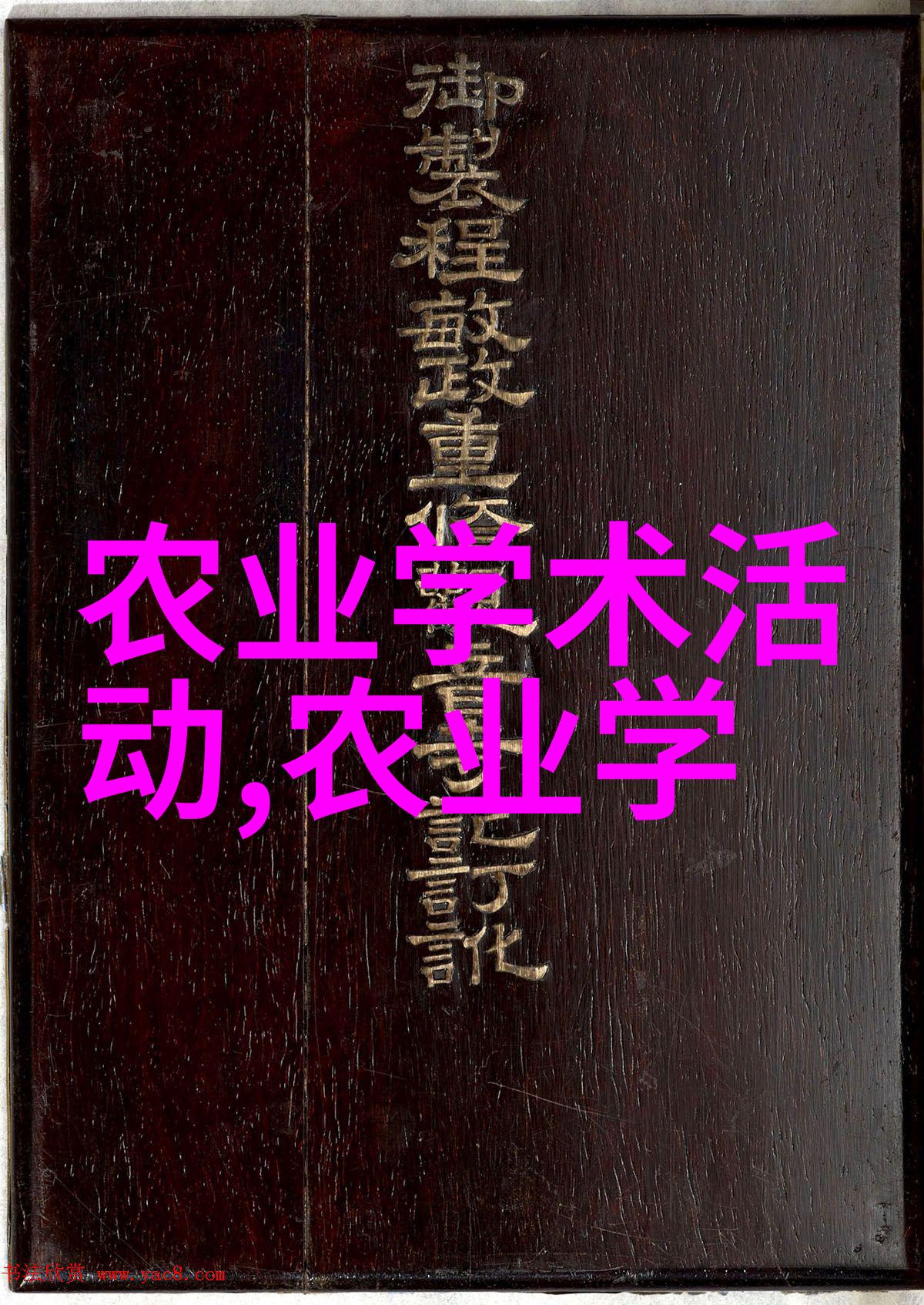 黄鳝养殖技术我来教你如何让黄鳝快速肥大