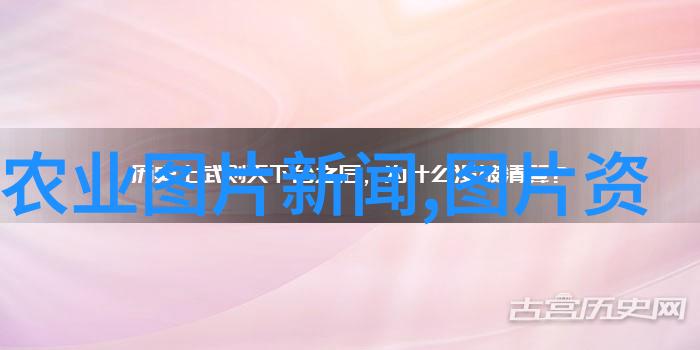 工厂化循环水养鱼骗局背后的诡计与受害者故事