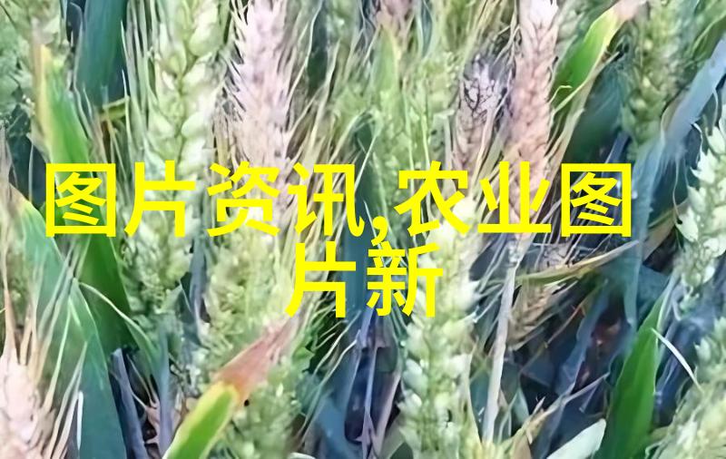 我们可以在小型花园里种植哪些快速生长的小果树