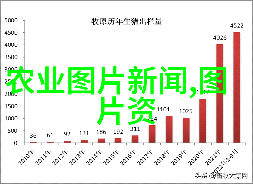 十亩地的大棚一年能赚多少