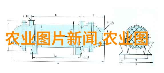 淡水养殖技术从鱼池到餐桌的智慧之旅