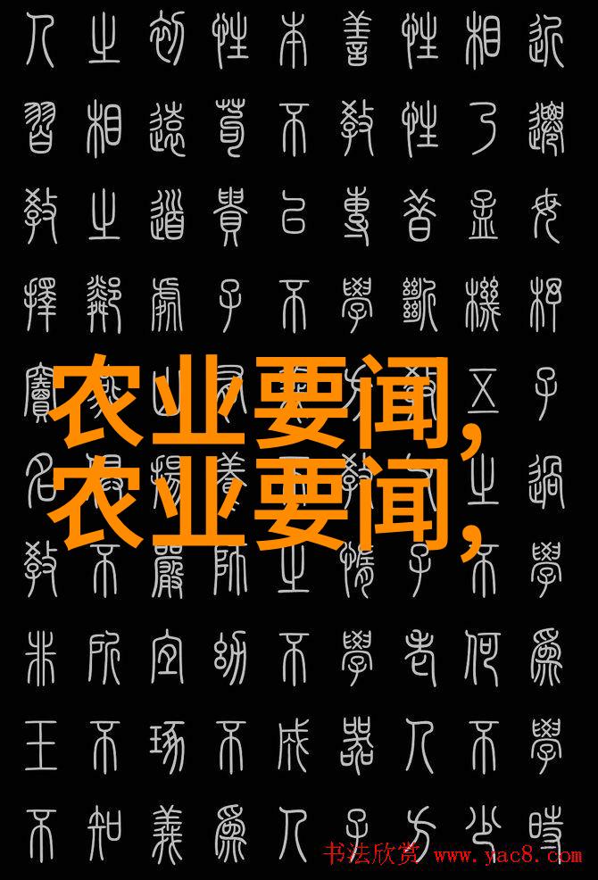 鸡蛋价格今日价-蛋价走高揭秘市场内外因素影响鸡蛋价格的今日动态