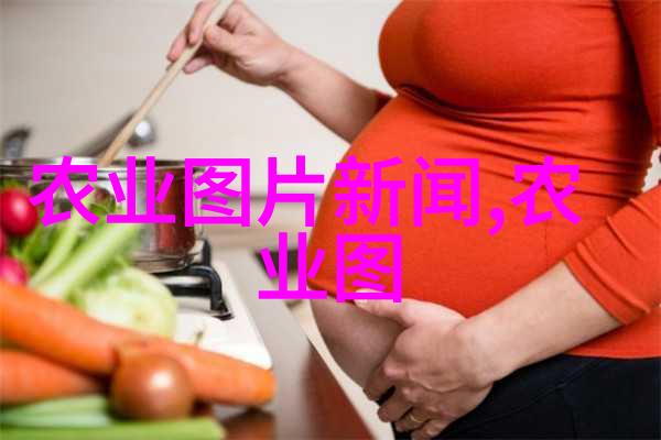 小尾寒羊养殖技术优质肉类生产与高效饲料利用