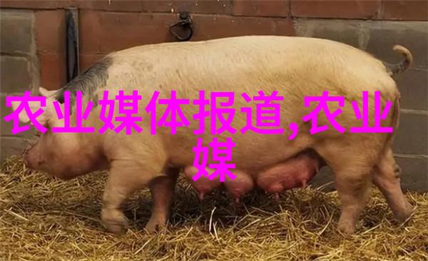 环境友好型饲料研发最新研究在淡水养鱼中扮演了什么角色