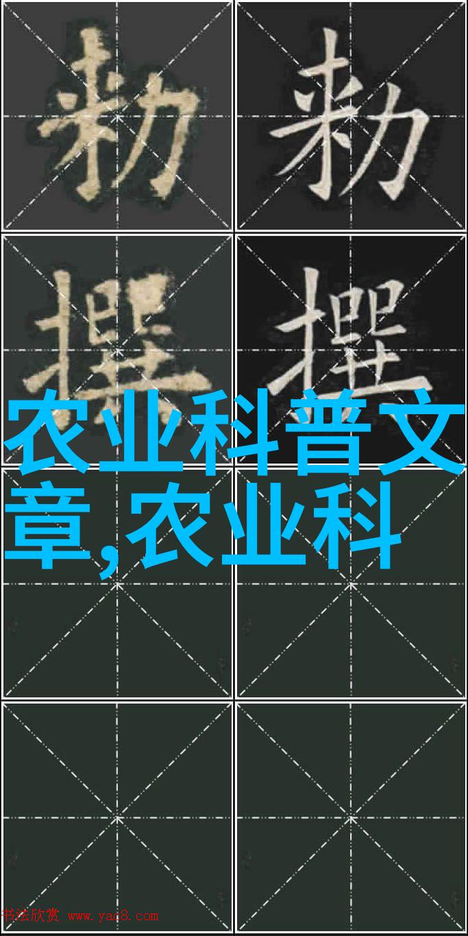 蜜蜂养殖技巧从事业初学者到专业人士的全程指南