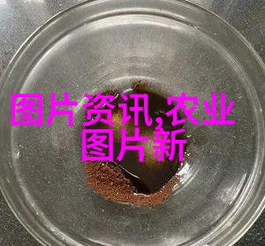 绿茵成长苗木树苗的秘密花园