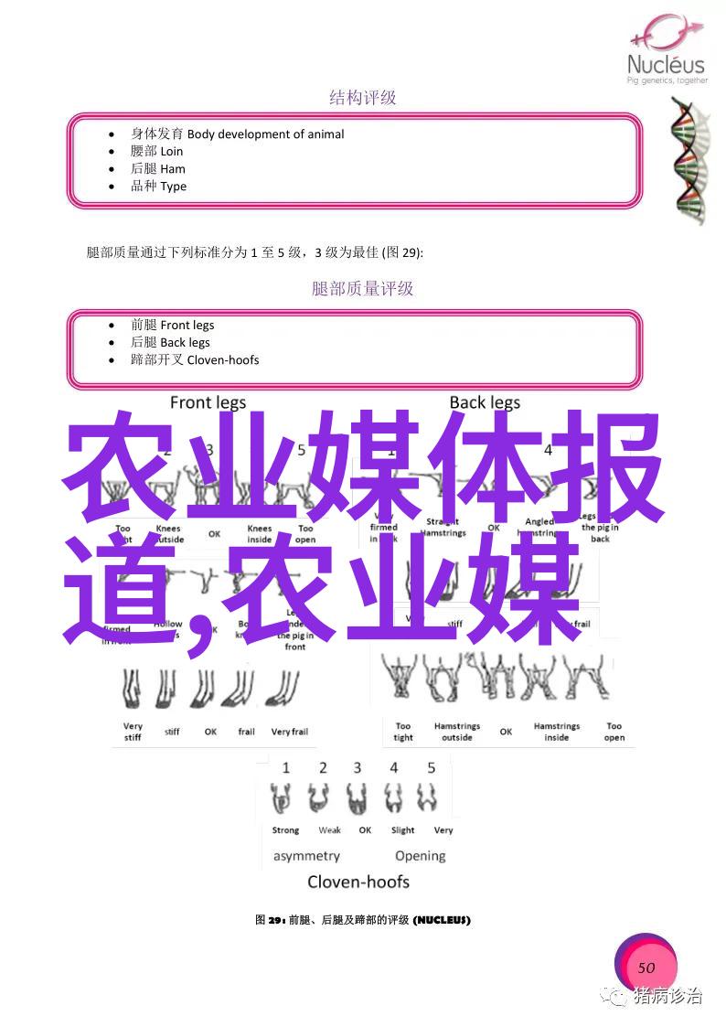 跨越时空的银幕之旅多玩PSP电影的艺术与魅力