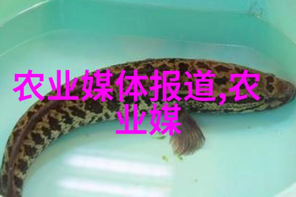 女性长期喝蜂蜜水会对牙齿造成什么影响呢