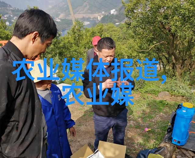 波尔山羊养殖技术高效饲料管理与优质毛发培育