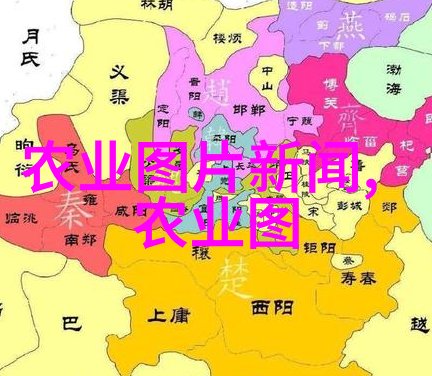 如何华丽地修剪吊兰让它成为家庭创业项目的璀璨明珠