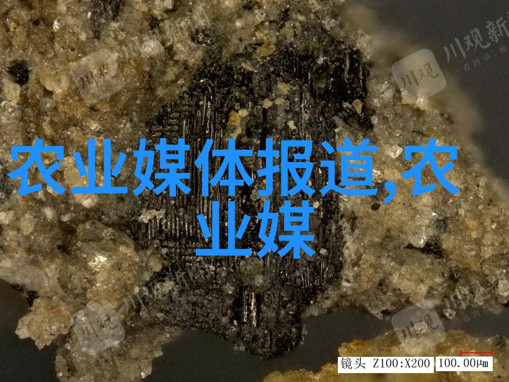 茶叶小百科揭秘古老的香气与技艺探寻一杯佳酿背后的千年传承