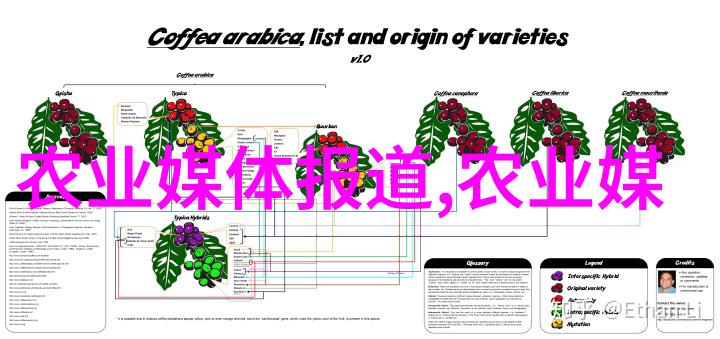 竹鼠养殖技术-精准饲养提升竹鼠繁育效率与质量的关键要素