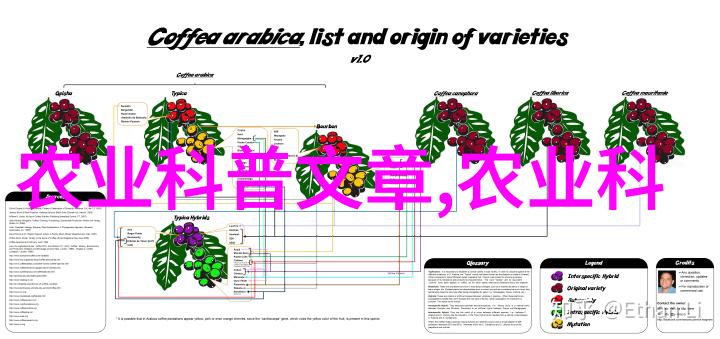 优质肉羊品种选择与养殖实用指南