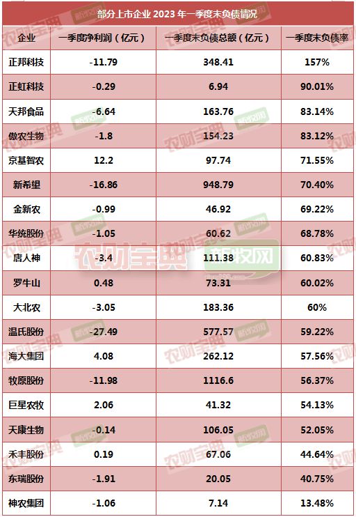 风间由美电影探索日本文化深层的艺术之旅