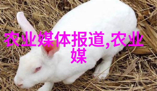 农业之友解锁仔猪白痢病的秘密守护健康的未来