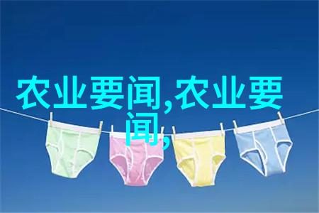 夏日长温暖阳光下的快乐时光