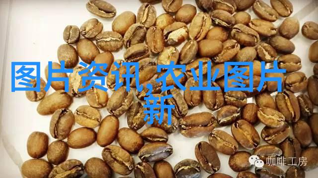 绿茵金黄适合农村种植的中药材枸杞木虱害虫防御秘籍