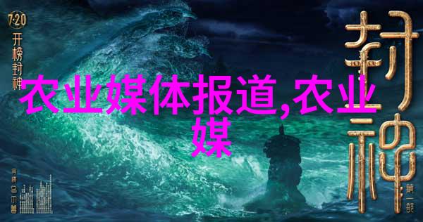 那人那村那傻子我在他乡遇见的那个傻瓜和他的家