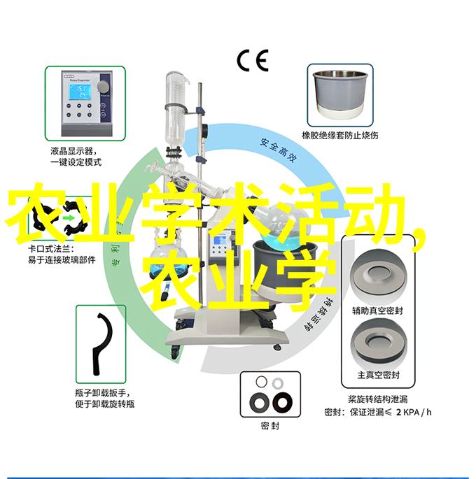 绚丽多彩的水果世界最新水果资讯与美食搭配