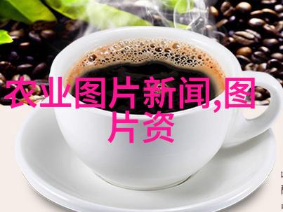 探索水果种子的数字世界一场视觉盛宴的征程