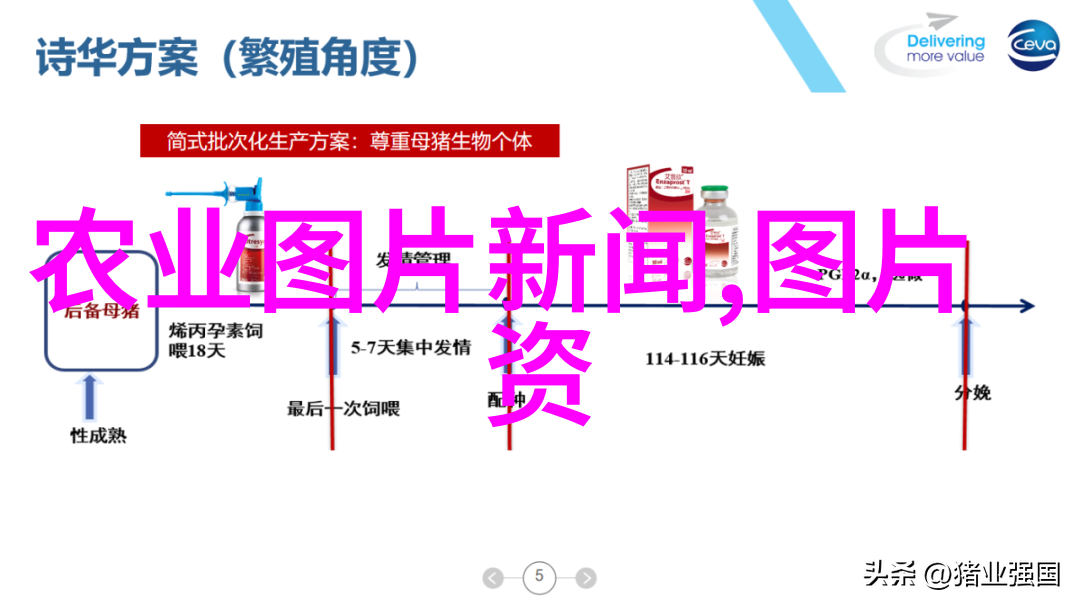 在遥远的森林里有一棵壮丽的杨树和一根挺拔的桦树它们是最好的朋友但却有着不为人知的差异今天我们要谈论的