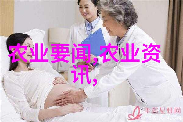 民法典全文解读深入挖掘每一条法律细节