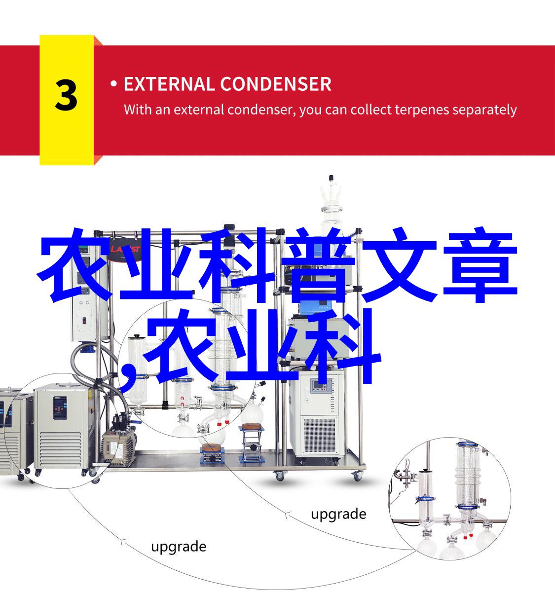 苗木花卉我在园中种下了满园的美丽苗木花卉等着它们一起绽放