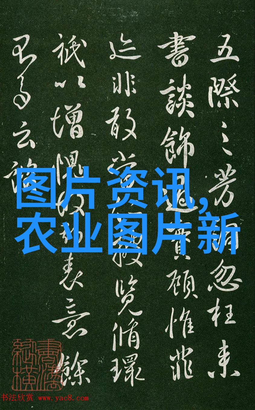 淡水小龙虾养殖技术-精准饲养与环境优化提升淡水小龙虾养殖效益的新方法