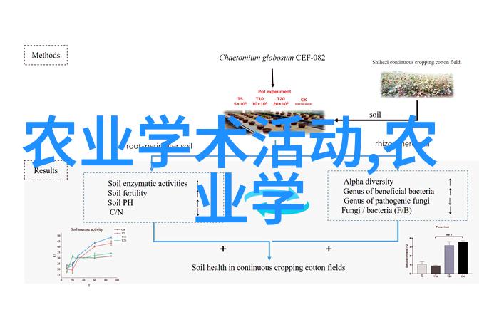 云南中药材种植翠绿香气之韵