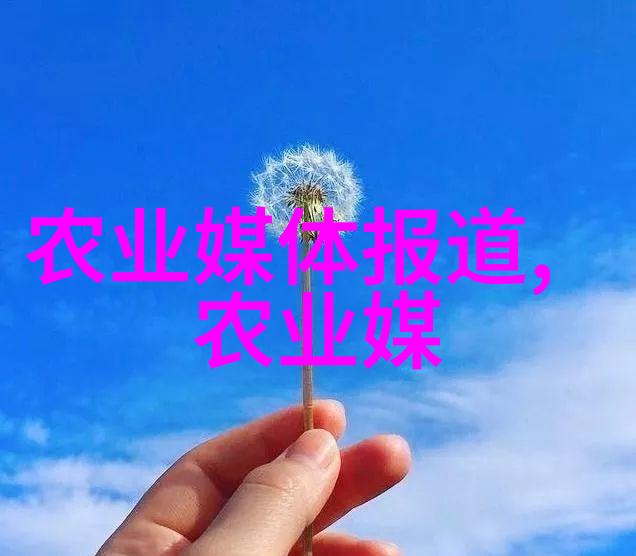 一个蜂箱可以养两群蜂吗我的蜜蜂小日记