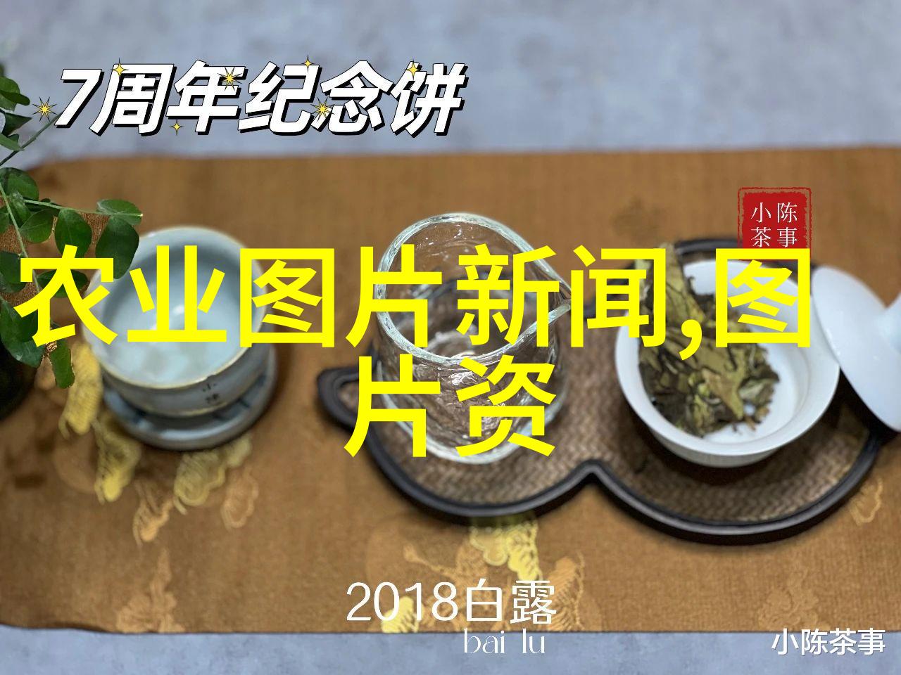 蜜蜂养护技巧 - 守住蜂巢怎么养蜜蜂才不会走