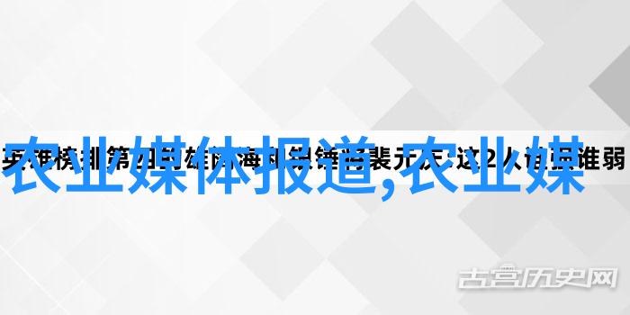 颗粒丰收稻谷烘干机的技术革新与农业效益