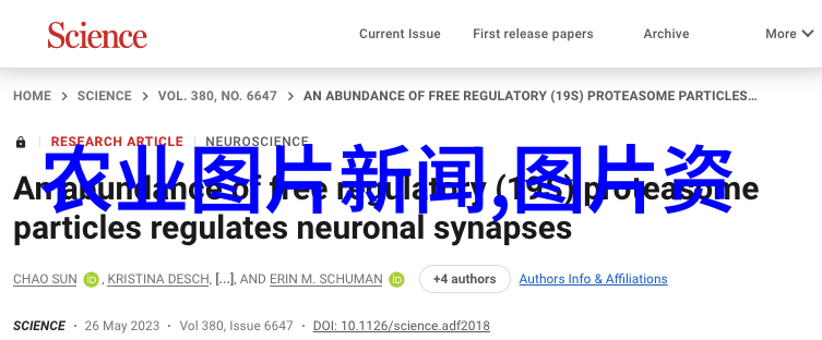 山东轻工职业学院培育行业新星的摇篮