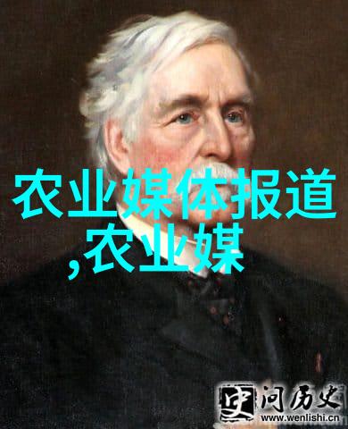 最近一闻大事件-震惊全球的火星探测器发现水迹引发新希望与挑战