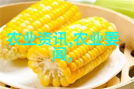 农村种植什么收入最快-丰收之路揭秘高效果蔬的快速赚钱秘籍