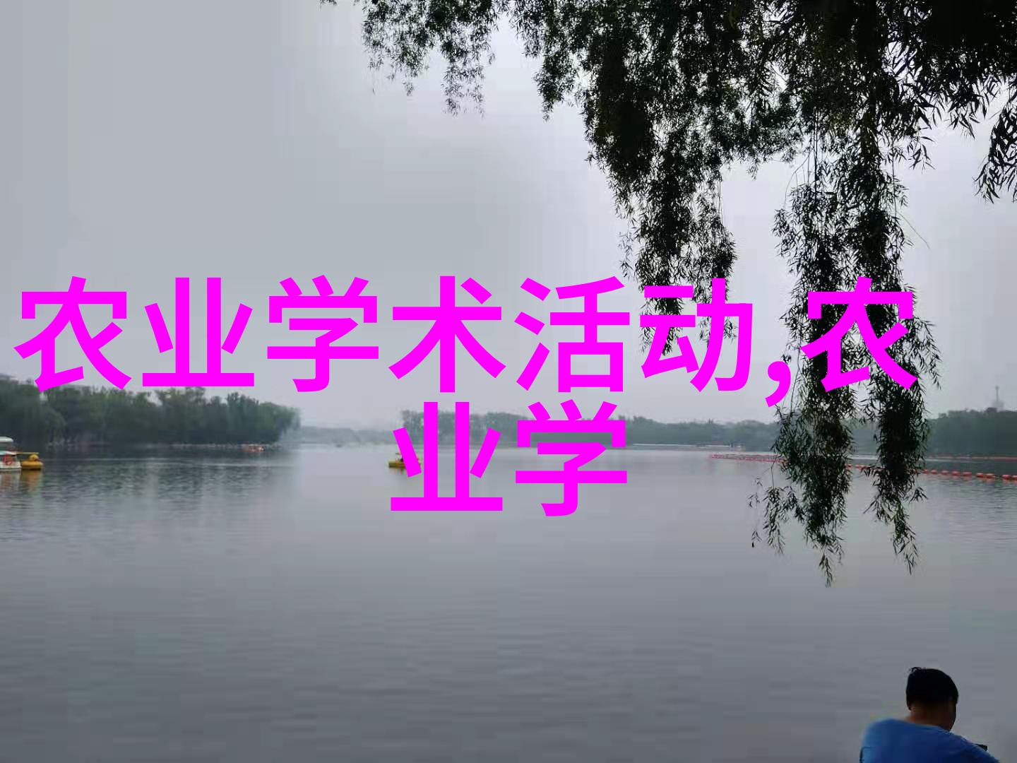 大蒜风云揭秘全球大蒜期货市场的波动与机遇