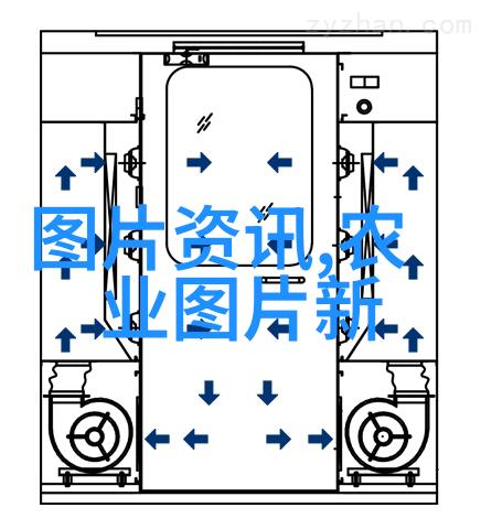 疙瘩头逆袭之王的秘密生活