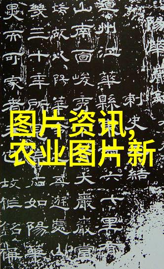 南美白对虾淡水双茬养殖与微孔增氧的巧妙结合智能水产养殖领域的新趋势